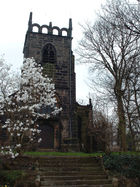 photograph