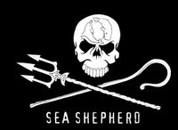 SSCS Flag.jpg