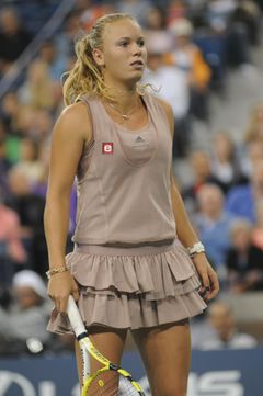 US Open 2009 4th round 154.jpg
