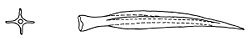 Cantareus aspersus dart.jpg