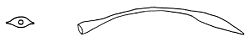 Chilostoma cingulatum dart.jpg