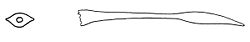 Chilostoma glaciale dart.jpg