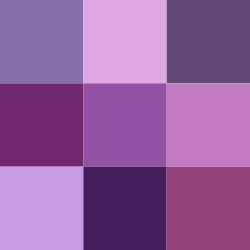 Color icon purple v2.svg