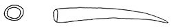 Euhadra amaliae dart.jpg