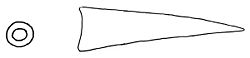 Helminthoglypta nickliniana dart.jpg