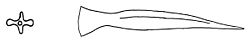 Marmorana scabriuscula dart.jpg