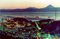 Petropavlovsk Kamchatsky at night.jpg