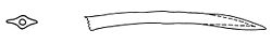 Xeromunda durieui dart.jpg
