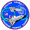 STS-93 patch.svg