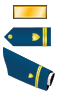 US CG O1 insignia.svg