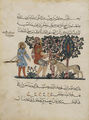 Abbasid Caliphate, Outdoor Scene of A Mad Dog Biting a Man, Arabic Translation of the Materia Medica, 1224 AD.jpg